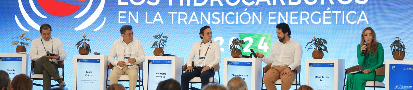 Colombia en el proceso de descarbonización de la economía_02