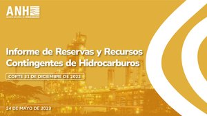 Informe de reservas y recursos contingentes de hidrocarburos 720 B