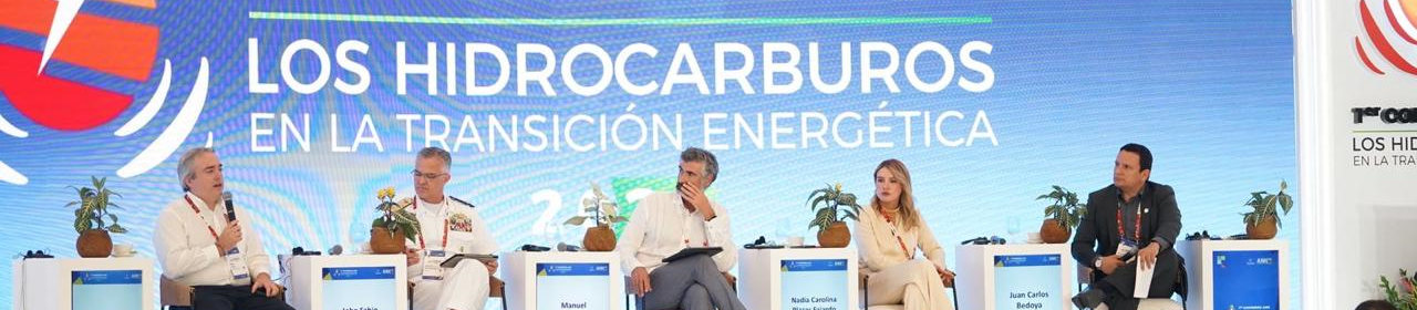 LA ARTICULACION INSTITUCIONAL, PIEZA CLAVE EN LAGENERACION DE NUEVOS PROYECTOS DE ENERGIA RENOVABLE_02