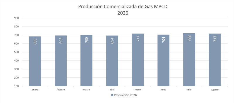 Producción comercializada gas 2026