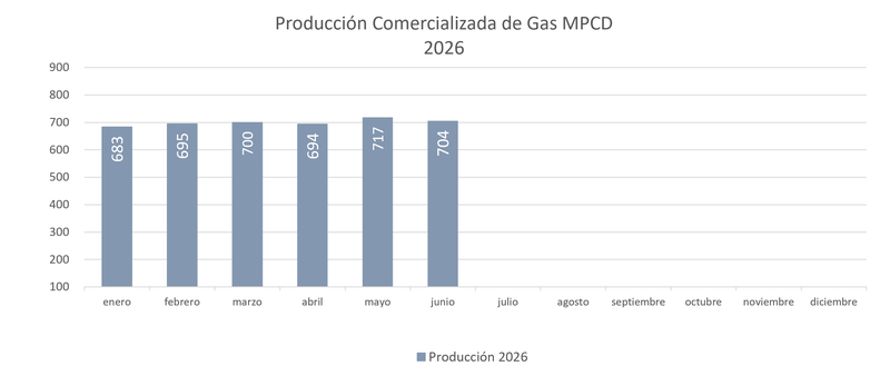 PRODUCCION COMERCIALIZADA GAS